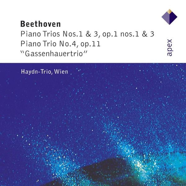 Piano Trio No. 1 in E Flat Major, Op. 1 No. 1: III. Scherzo, Allegro assai