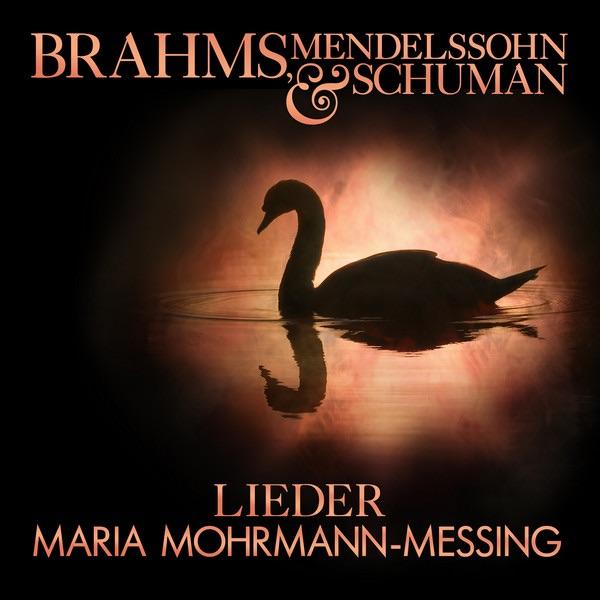 Lieder, Op. 99: Die Stille (The Silence)