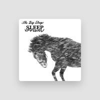 The Big Sleep