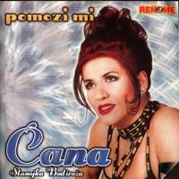 Cica â Bogatasica