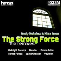The Strong Force (Voytech Remix)