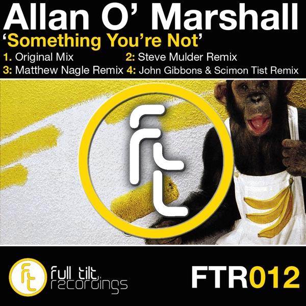 Something You're Not (Steve Mulder Remix)