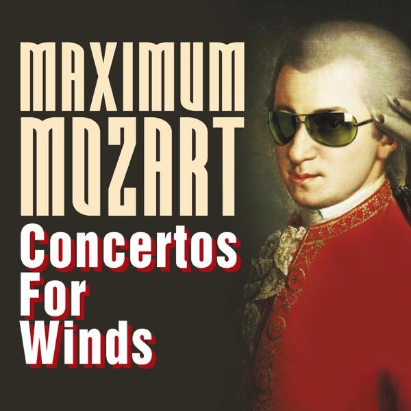 Horn Concerto No. 2 in E-Flat Major, K. 417: I. Allegro