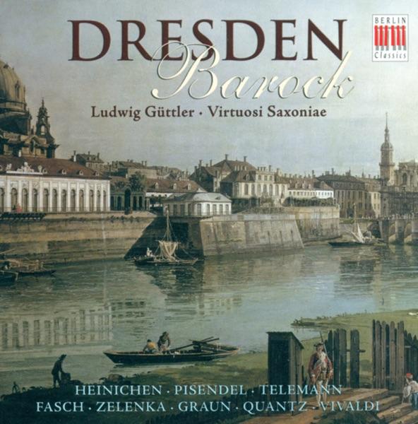Concerto for Viola D'amore and Lute in D Minor, RV 540: I. Allegro