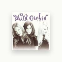 Wild Orchid