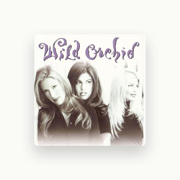Wild Orchid