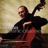 Sonata for Cello and Piano No.1 In e Minor, Op. 38: Allegro