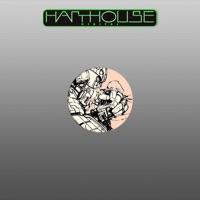 Smoking Asid (Tech Mix)