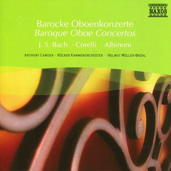 Oboe Concerto in D minor, Op. 9, No. 2 : II. Adagio