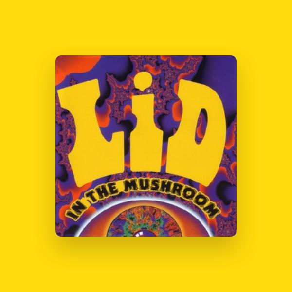 The Lid