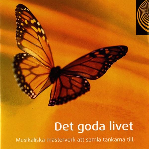 Flute Concerto No. 1 in G major, K. 313: II. Adagio non troppo