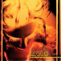 Into the Night (Radio Mix)