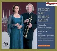 Psalm 112 in F Major, ZWV 82, "Laudate Pueri Dominum": Quis Sicut Dominus