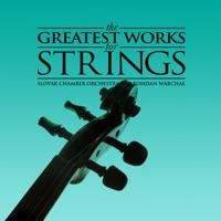 Serenade in E Minor for String Orchestra, Op. 20: II. Larghetto
