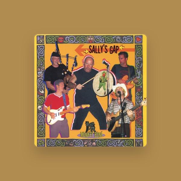 Sally's Gap