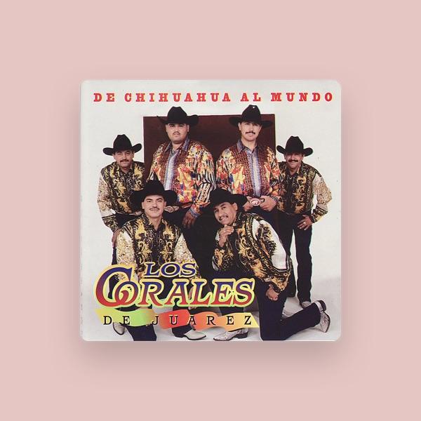 Los Corales De Juarez