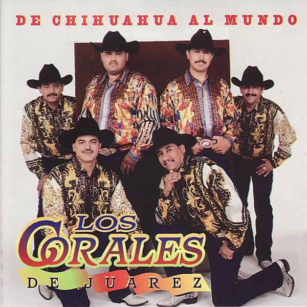 Mi Ultima Palabra
