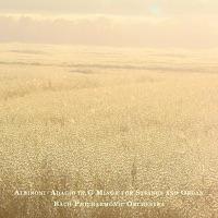 Adagio In G Minor For Strings And Organ