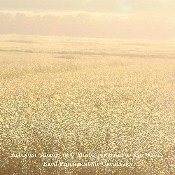 Adagio In G Minor For Strings And Organ
