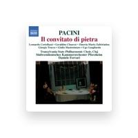 Pforzheim Chamber Orchestra