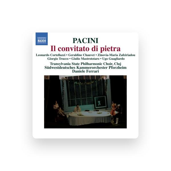Pforzheim Chamber Orchestra