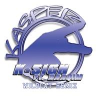 K-Sign (Wildcat Remix) [feat. Raaqim]