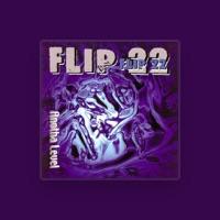 Flip 22