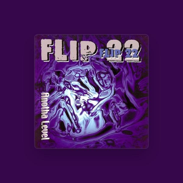Flip 22