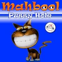 P***y Hole (House mix radio)