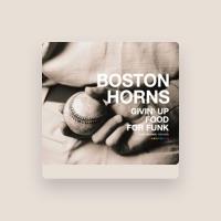 BOSTON HORNS