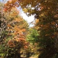 錦絵の旅 2011