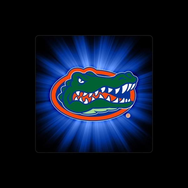 Fightin' Gator Marching Band