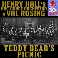 Teddy Bear's Picnic
