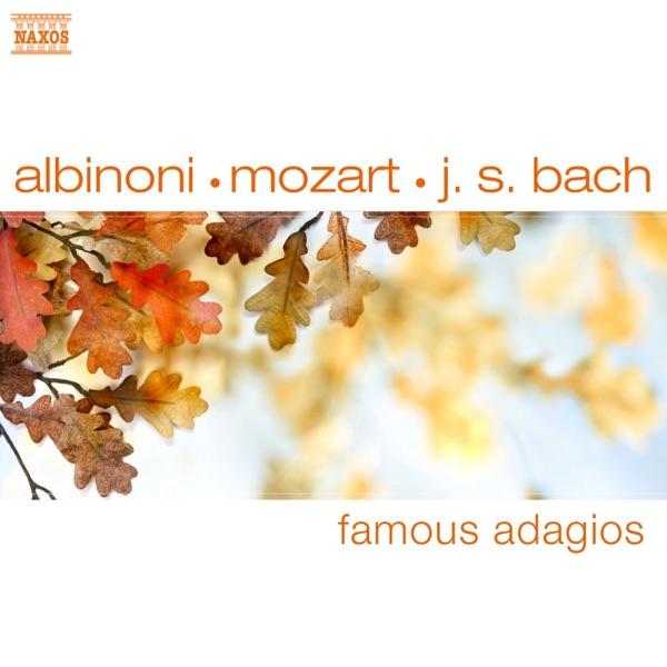 Oboe Concerto In D Minor, Op. 9, No. 2: II. Adagio