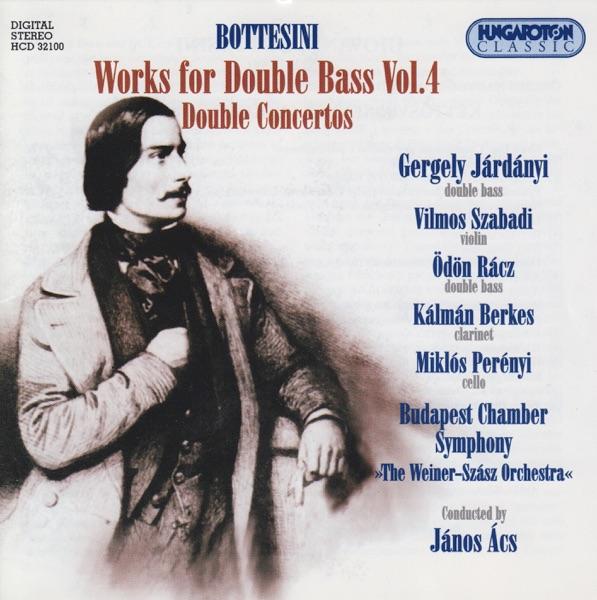 Passioni amorose per due contrabassi, III. Allegretto