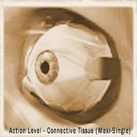 Connective Tissue (Alexei Zakharov Mix)