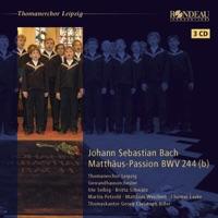 Matthäus Passion (St. Matthew Passion), BWV 244: No. 51, Erbarm Es Gott