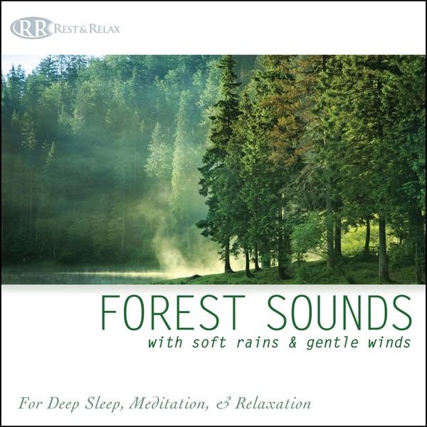 Forest Sounds