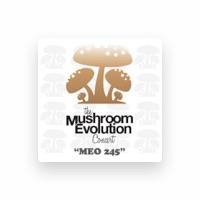 MEO 245