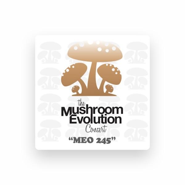 MEO 245