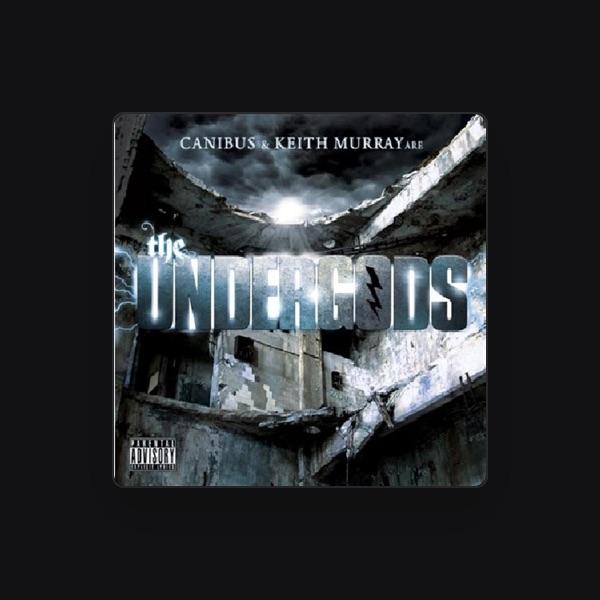The Undergods
