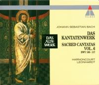 Cantata No. 107 Was willst du dich betrüben, BWV 107: V. Aria - "Er richts zu seinen Ehren" [Boy Soprano]