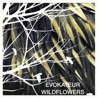 Wildflowers (Raw Mix)
