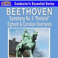 Coriolan Overture, Op. 62