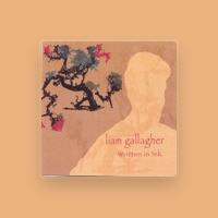 The Liam Gallagher
