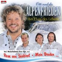 In meinen Träumen erzähl ich dir
