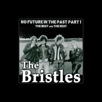 Bristles