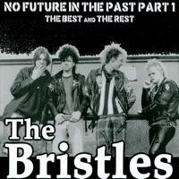 Bristles Song