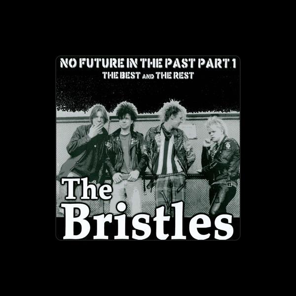Bristles