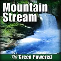 Quick Flowing Stream Calming the Spirit